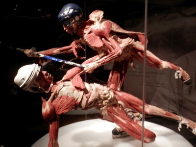 body-worlds05