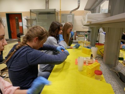 instytut-kreatywnej-biologii01