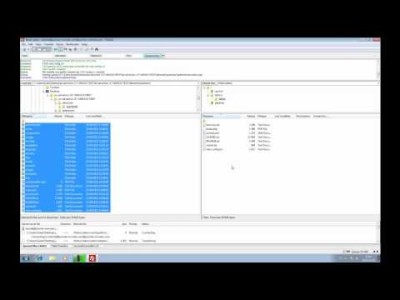 Video 5