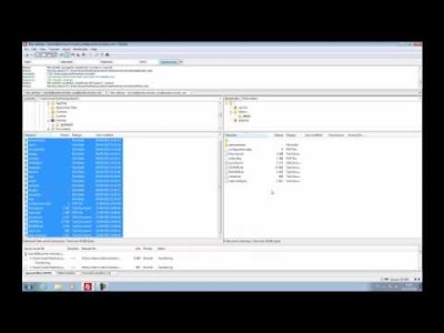 Video 6